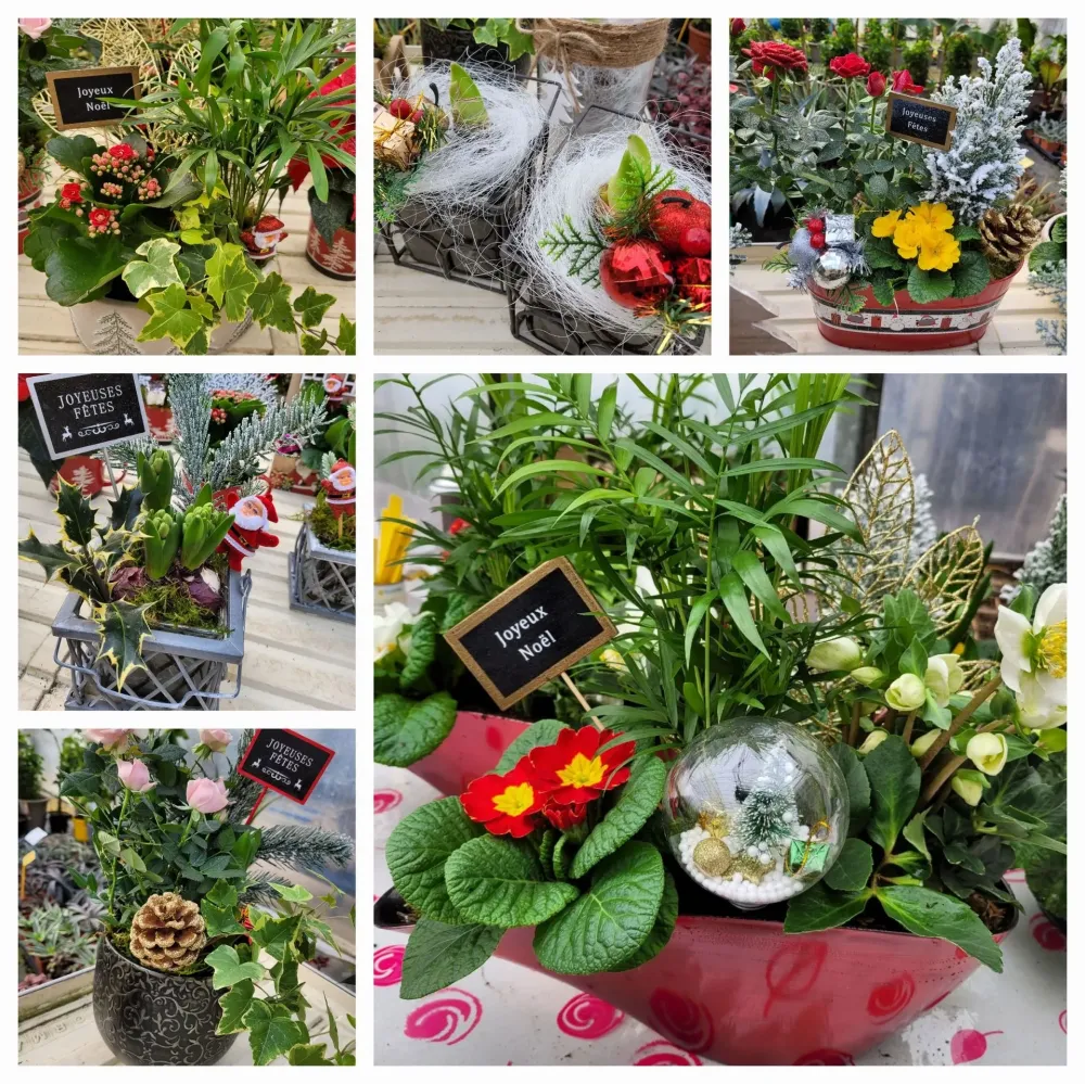 composition-florale-noel
