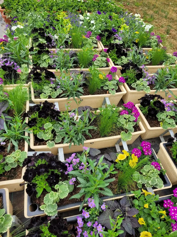 confection-jardinieres(2)
